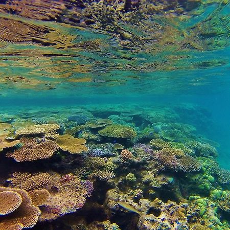 Mai Dive' Astrolabe Reef Resort Naqara Bagian luar foto