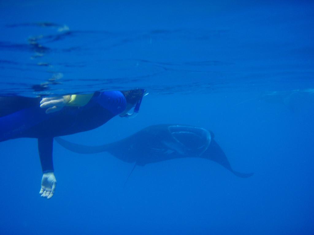 Mai Dive' Astrolabe Reef Resort Naqara Bagian luar foto