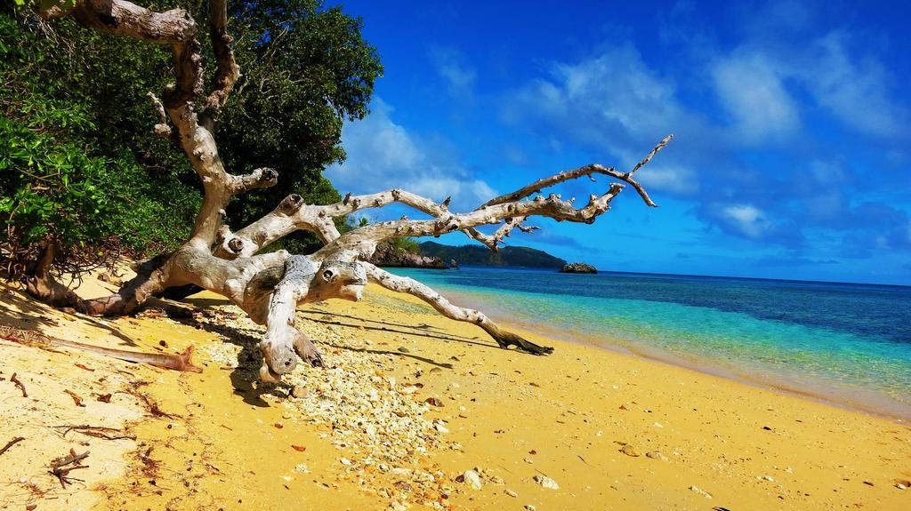 Mai Dive' Astrolabe Reef Resort Naqara Bagian luar foto