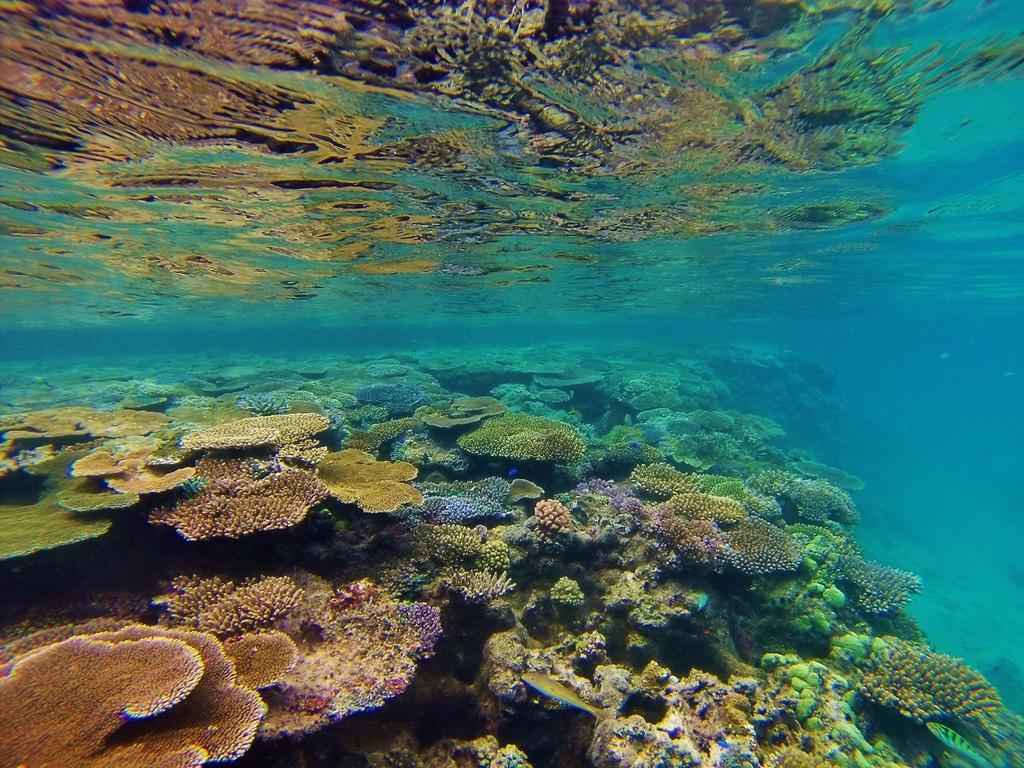 Mai Dive' Astrolabe Reef Resort Naqara Bagian luar foto
