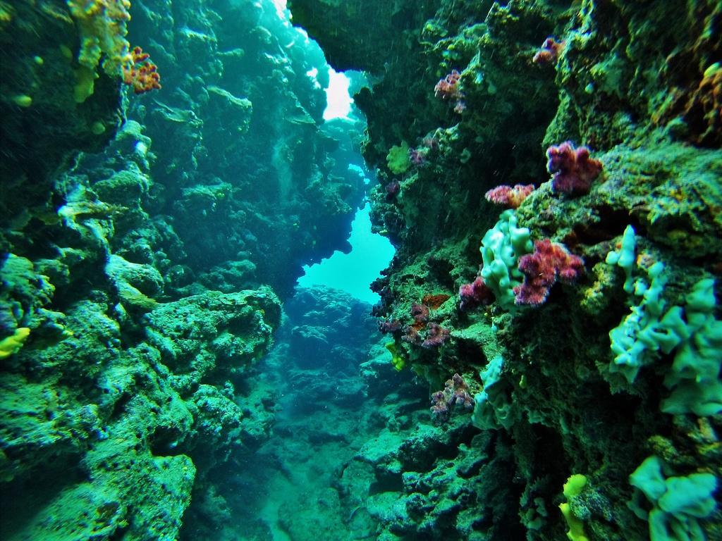 Mai Dive' Astrolabe Reef Resort Naqara Bagian luar foto